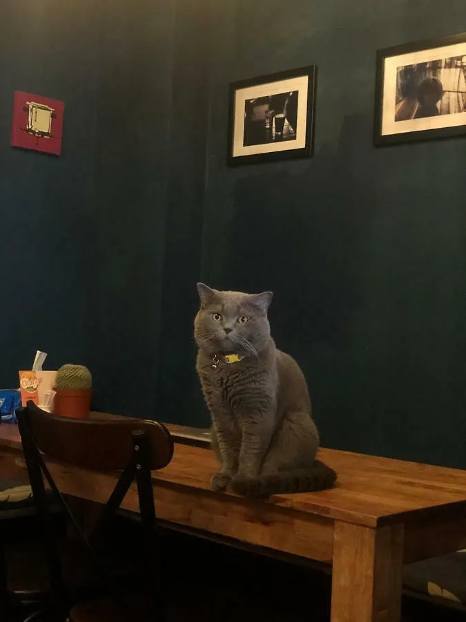 Inn Coco Hostel Ho Chi Minh City